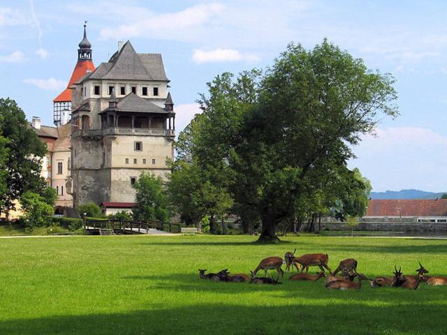 Apartman Podskalska Blatná Extérieur photo